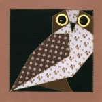 boobook owl071